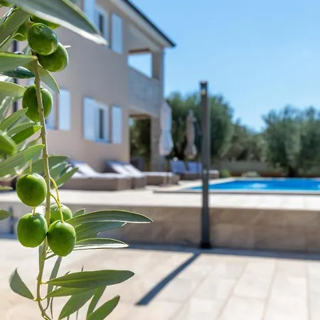 Terlevic Villa Selina